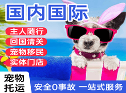 襄阳刘集空运地址国际宠物托运 【国